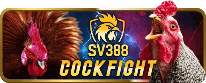 Hoàn trả và thưởng hàng ngày jun88v1